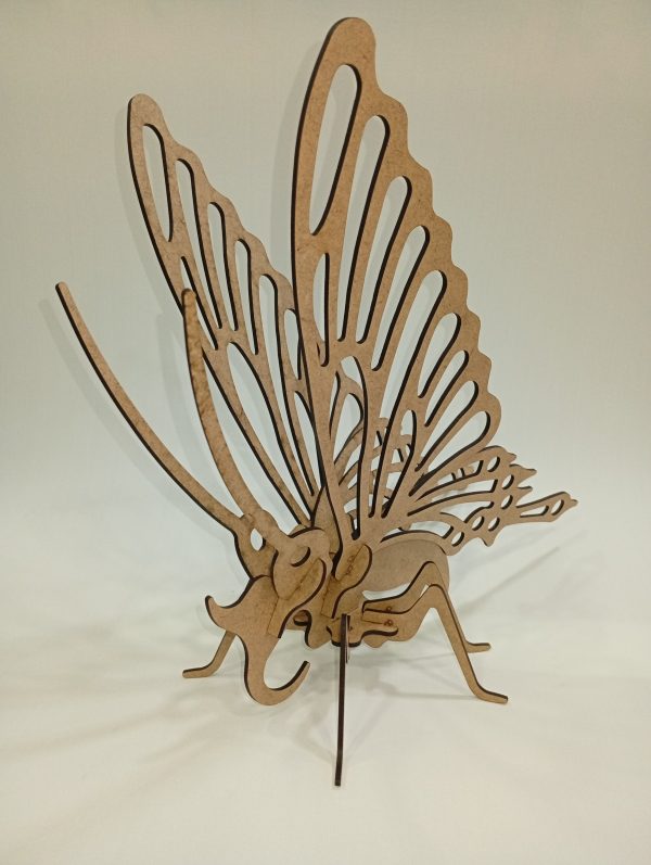 IMG scaled
